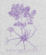 Botanist - Macedonian Parsley