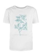 Botanist - Mulberry Tree