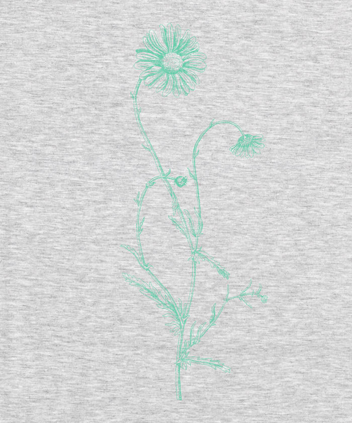 Botanist - Elizabeth Eye Daisy