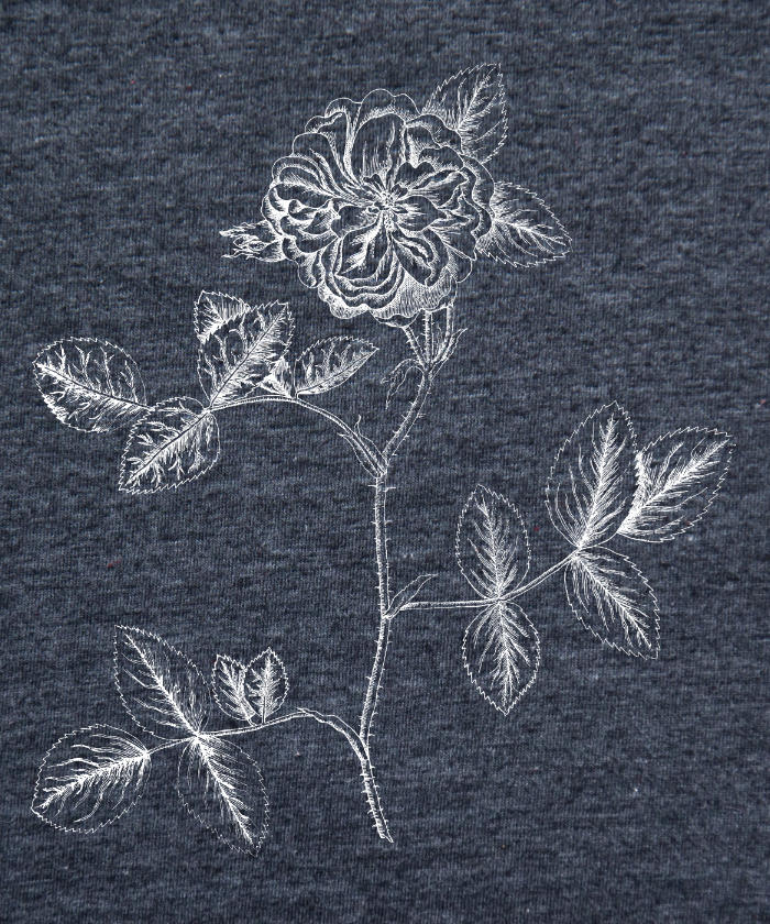 Botanist - Damask Rose