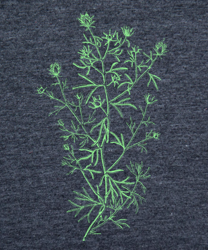 Botanist - Wild Rue