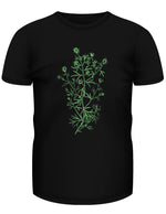 Botanist - Wild Rue