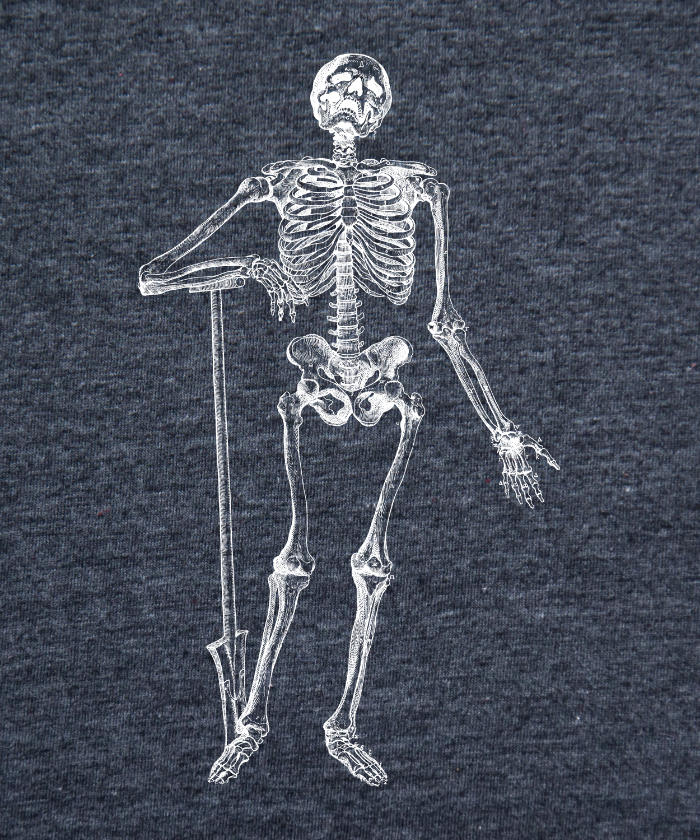 Anatomy - Skeleton on Spade