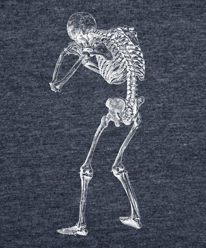 Anatomy - Back Skeleton