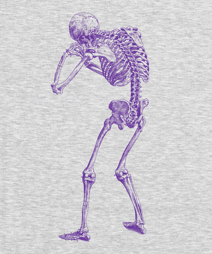 Anatomy - Back Skeleton